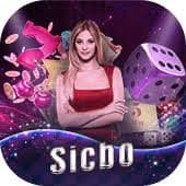 Match settlement confirmation on spinbet99 login